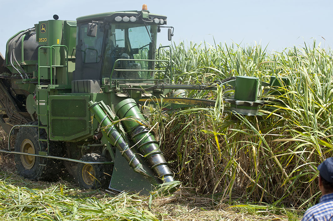 Filière sucrière: Cosumar veut allier performance et durabilité